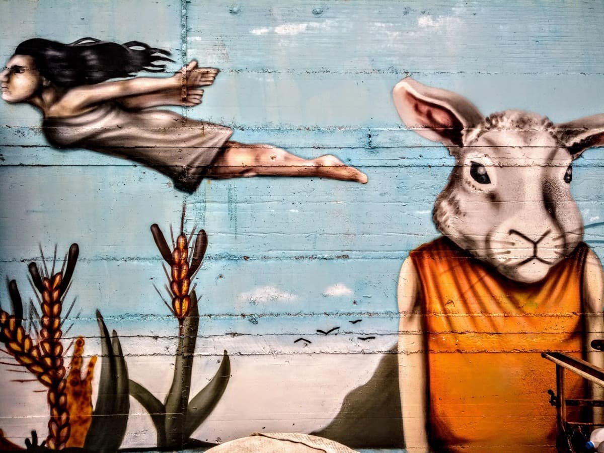 Le pain qui fit halluciner toute une île
